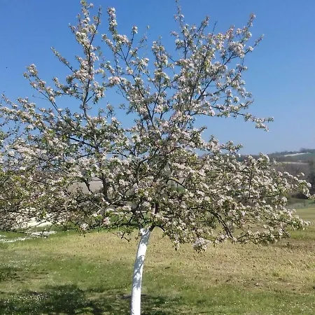 Avec Piscine, Proche De Perigueux - 2 Chambres, Bbq, Activites Variees A Proximite - Fr-1-616-54 *